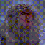 Stone In Focus