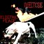 Insecticide