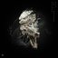 I'm a Dragon (VIP) - Single