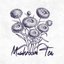 Mushroom Tea