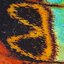Back Into Your Arms (feat. Hatchie) - Single