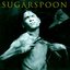 Sugarspoon