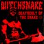 Deathcult of the Snake [Explicit]