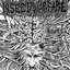 Agoraphobic Nosebleed / Insect Warfare