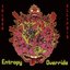 Entropy Override