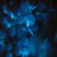 Aplastic / Malebolge