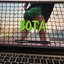BOTA - Single