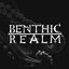 Benthic Realm