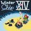 Winter Chip XIV