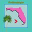 FLORIDACATALOGUE / DMT​​-​​591