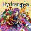 Hydrangea