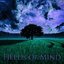 Fields of Mind - Single