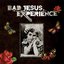 Bad Jesus Experience