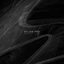 Hidden - Single