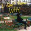 I Don't Know Why - Single