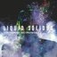 Liquid Solidus