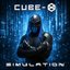 Simulation