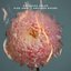 Hide Away / Another Round - Single