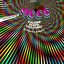 Kaleidoscopic Vibrations: Spotlight on the Moog