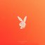 PLAYBOY