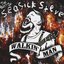 Walkin' Man: The Best of Seasick Steve Disc 1