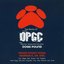 DPGC: The Remix LP