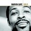 Marvin Gaye: Gold