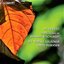Im Herbst - Choral Works by Brahms & Schubert