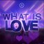 What Is Love - Single