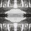 Polarizing Rhythms