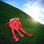 Red Sunday - Single
