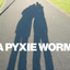 Avatar di apyxieworm