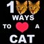 100 Ways to Love A Cat