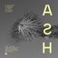 Ash