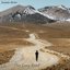 The Long Road