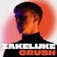 Zakelijke Crush