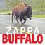 Buffalo (Disc 1)