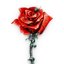 Rose N Fly