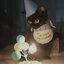 Unknowing Cat