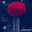 As Tears We Fall - Single