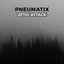 Attic Attack
