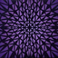 Avatar for daaiig