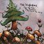The Pine Tree, The Mushroom, & The End of the World