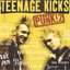 Teenage Kicks: Punk! 2