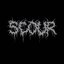 SCOUR