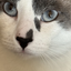Avatar for aandrada92