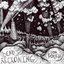 Dead Reckoning