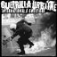 Guerrilla urbaine