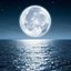 Dreamscape - Single