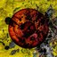 Dreams About Death - Single